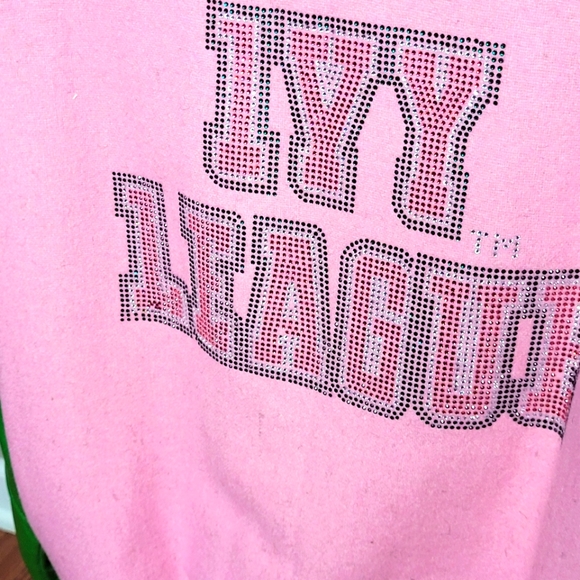 AKA Soririty Varsity Jacket - Picture 5 of 6